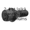 Riteņa stiprināšanas skrūve FEBI BILSTEIN 19341
