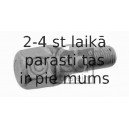 Riteņa stiprināšanas skrūve FEBI BILSTEIN 11616