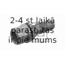 Riteņa stiprināšanas skrūve FEBI BILSTEIN 30400