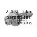 Riteņa stiprināšanas skrūve FEBI BILSTEIN 29208