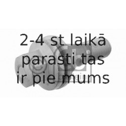 Riteņa stiprināšanas skrūve FEBI BILSTEIN 29208