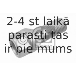 Riteņa stiprināšanas skrūve FEBI BILSTEIN 21175