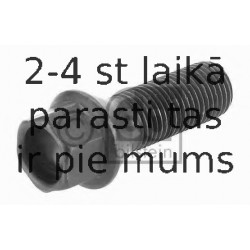 Riteņa stiprināšanas skrūve FEBI BILSTEIN 18538