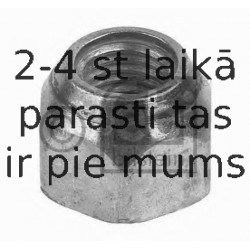 Riteņa stiprināsanas uzgrieznis FEBI BILSTEIN 11938