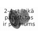 Piekare, Šķērssvira FEBI BILSTEIN 07558