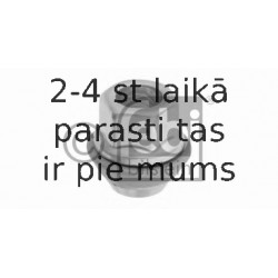 Riteņa stiprināsanas uzgrieznis FEBI BILSTEIN 07176