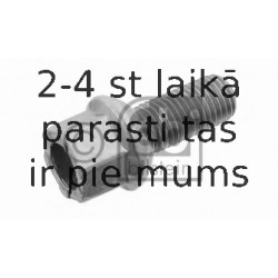 Riteņa stiprināšanas skrūve FEBI BILSTEIN 06963