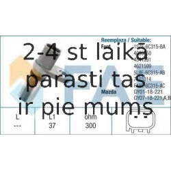 Датчик импульсов FAE 79240