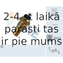 Температурный датчик охлаждающей жидкости FAE 32210
