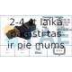 Датчик импульсов FAE 79289