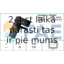 Датчик импульсов FAE 79254