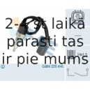 Slēdzis, Atpakaļgaitas signāla lukturis FAE 40585