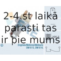 Выключатель, фара заднего хода FAE 41060