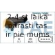 Датчик, давление во впускном газопроводе FAE 15033
