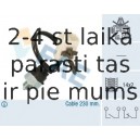 Выключатель, фара заднего хода FAE 41280