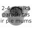 Amortizatora statnes balsts SWAG 50 92 3690