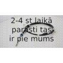 Trose, Stāvbremžu sistēma TRISCAN 8140 131142