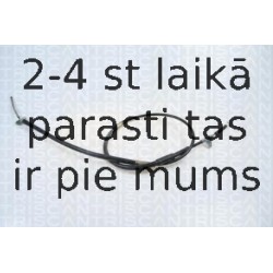 Trose, Stāvbremžu sistēma TRISCAN 8140 131117