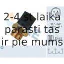 Термовыключатель, вентилятор радиатора FAE 38180