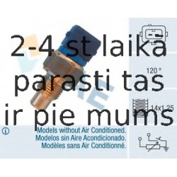 Датчик, температура головки цилиндров FAE 34460