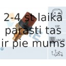 Температурный датчик охлаждающей жидкости FAE 34100