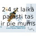 Температурный датчик охлаждающей жидкости FAE 32220