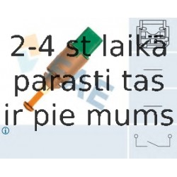 Выключатель фонаря сигнала торможения FAE 24900