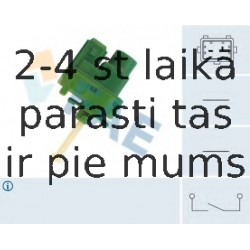 Выключатель фонаря сигнала торможения FAE 24840