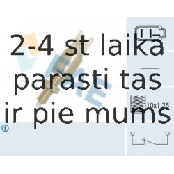 Выключатель фонаря сигнала торможения FAE 24550