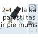 Выключатель фонаря сигнала торможения FAE 24450