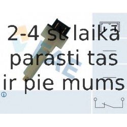 Выключатель фонаря сигнала торможения FAE 24280
