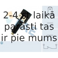 Выключатель фонаря сигнала торможения FAE 24210