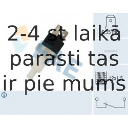 Выключатель фонаря сигнала торможения FAE 24200