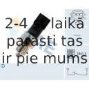 Выключатель, фара заднего хода FAE 41255