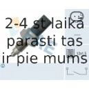 Выключатель, фара заднего хода FAE 40755