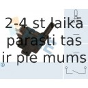 Выключатель, фара заднего хода FAE 40740
