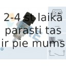 Выключатель, фара заднего хода FAE 40655