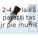 Выключатель, фара заднего хода FAE 40510