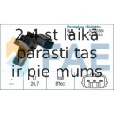 Apgriezienu devējs, Motora vadība FAE 79139