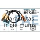 Apgriezienu devējs, Motora vadība FAE 79077