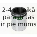 Поршень, корпус скобы тормоза BUDWEG CALIPER 234229