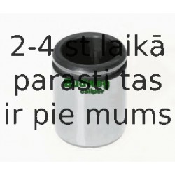 Поршень, корпус скобы тормоза BUDWEG CALIPER 234229