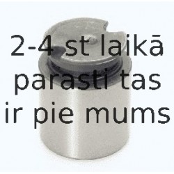 Поршень, корпус скобы тормоза BUDWEG CALIPER 233841