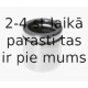 Virzulis, Bremžu suports BUDWEG CALIPER 235478