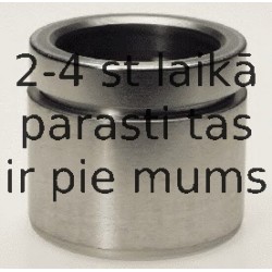 Поршень, корпус скобы тормоза BUDWEG CALIPER 235457