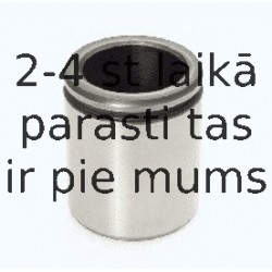 Поршень, корпус скобы тормоза BUDWEG CALIPER 234856