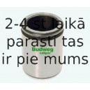 Поршень, корпус скобы тормоза BUDWEG CALIPER 234606