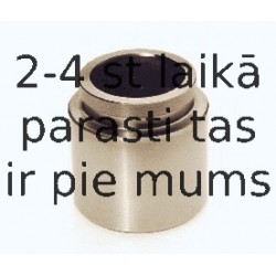 Поршень, корпус скобы тормоза BUDWEG CALIPER 234524