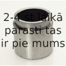 Поршень, корпус скобы тормоза BUDWEG CALIPER 234523