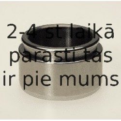 Поршень, корпус скобы тормоза BUDWEG CALIPER 234520